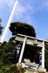 鳥居と池袋の白いアレ
