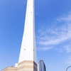 池袋の白いアレ