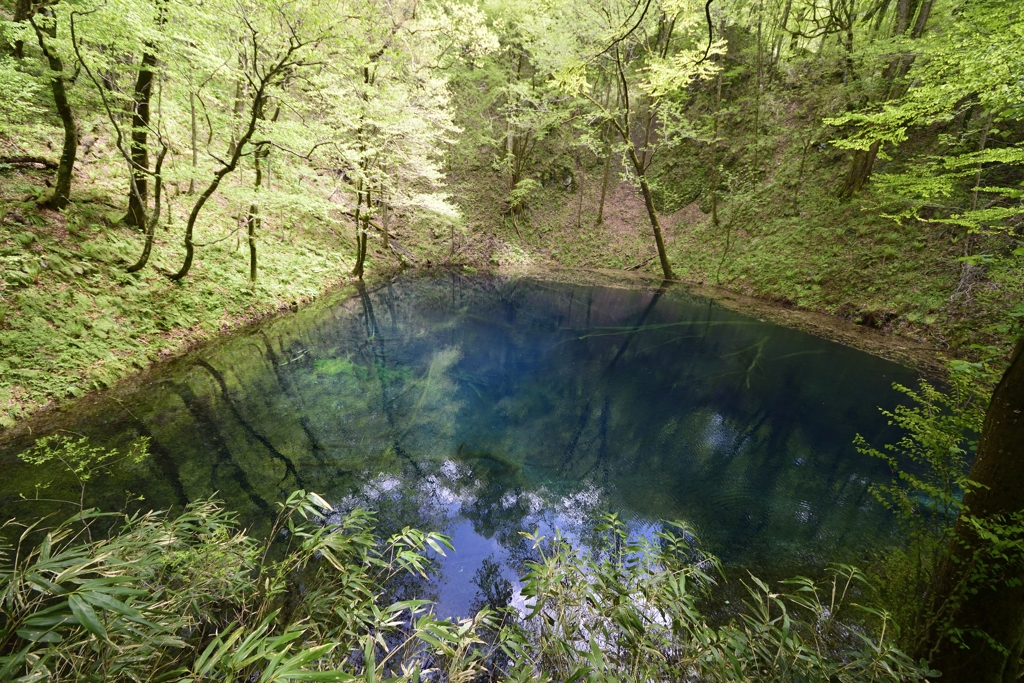 青池