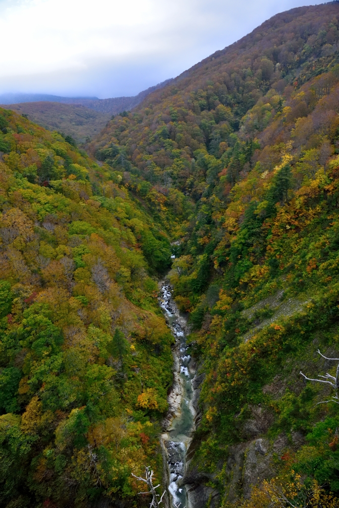 城ヶ倉大橋①