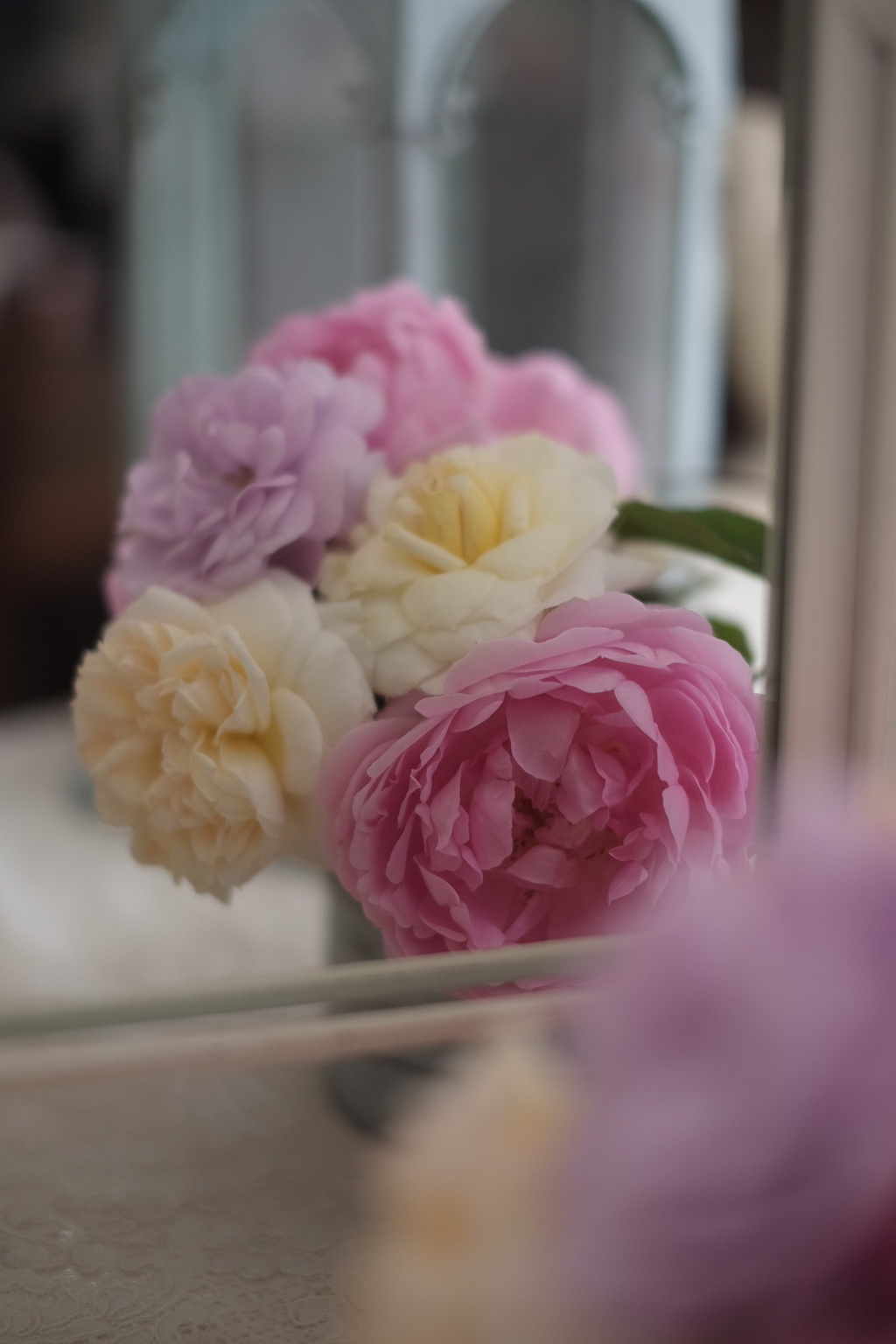 今朝の薔薇