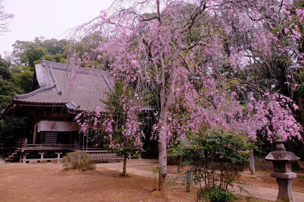桜想神社
