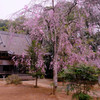 桜想神社