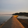 夕方の蓑島海岸から