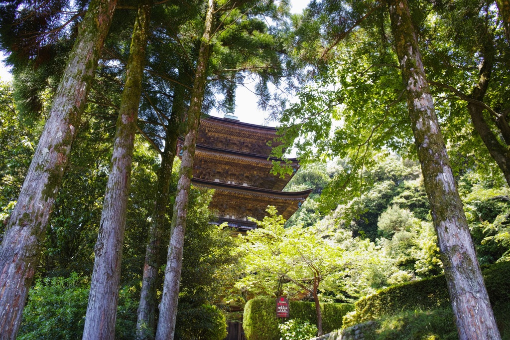 瑠璃光寺 五重塔 晴天