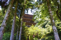 瑠璃光寺 五重塔 晴天