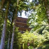 瑠璃光寺 五重塔 晴天