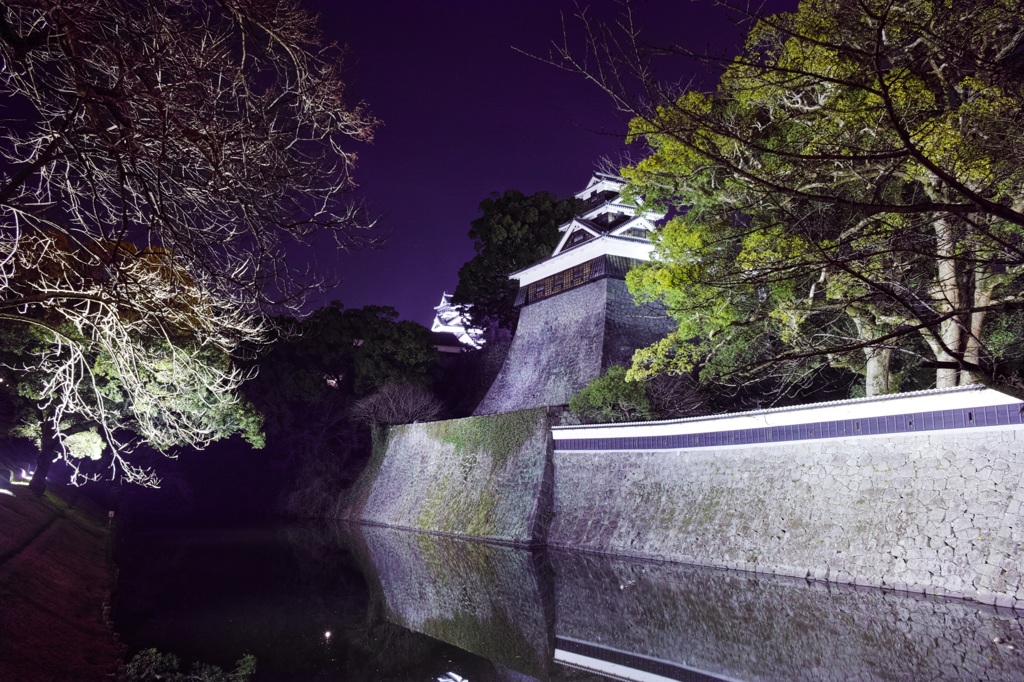 熊本城の夜