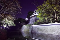熊本城の夜