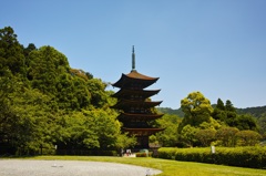 瑠璃光寺 五重塔 晴天