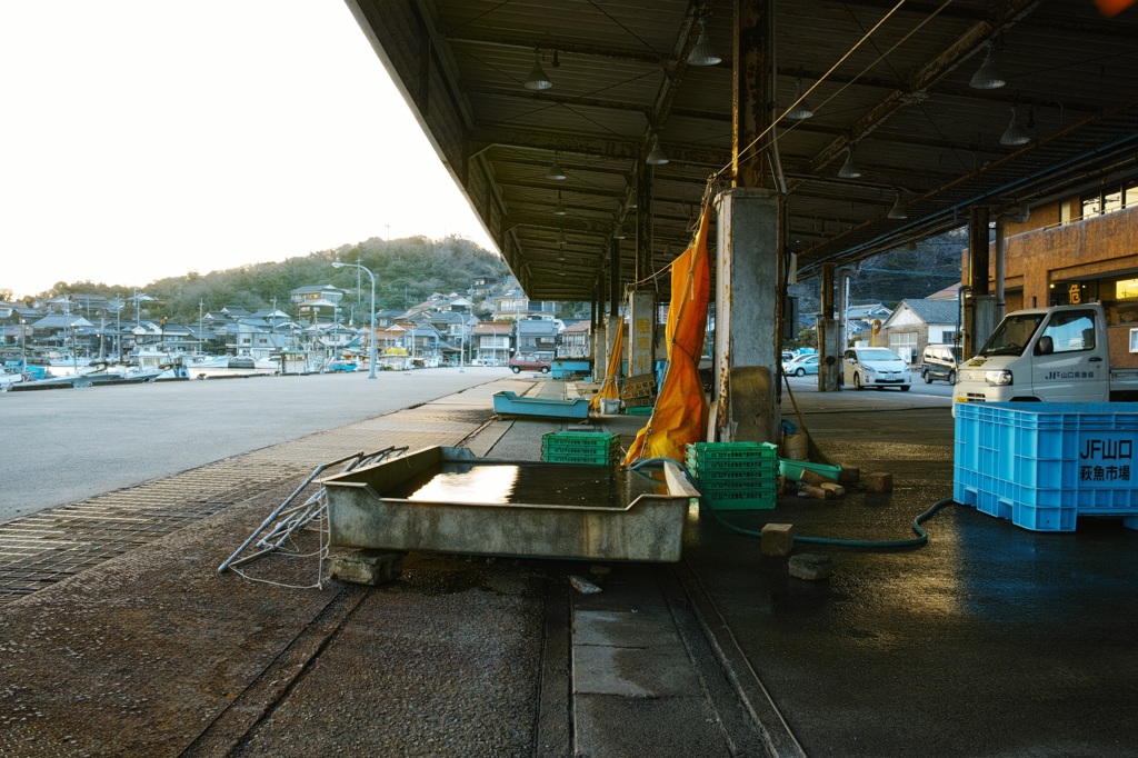 魚市場