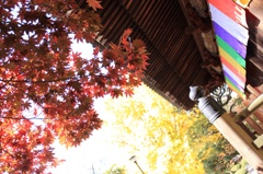 神社