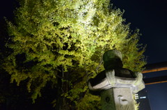 灯篭とイチョウ