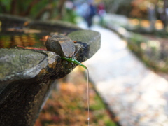 排水係