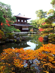 秋の銀閣寺