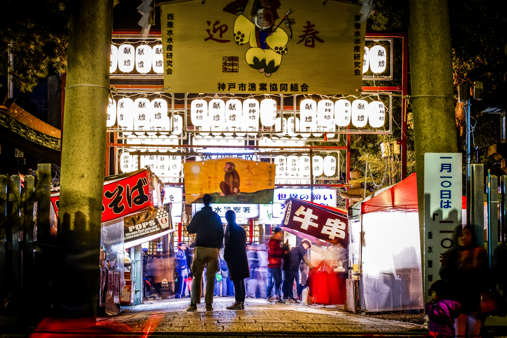 元旦の煌き
