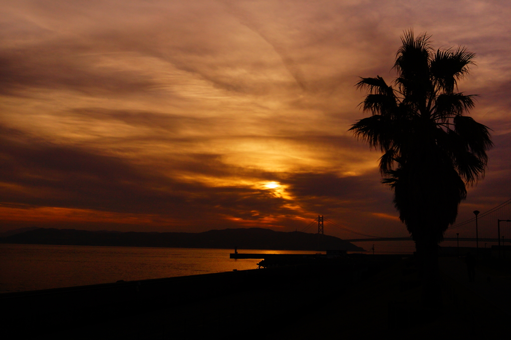 海と淡路と夕日