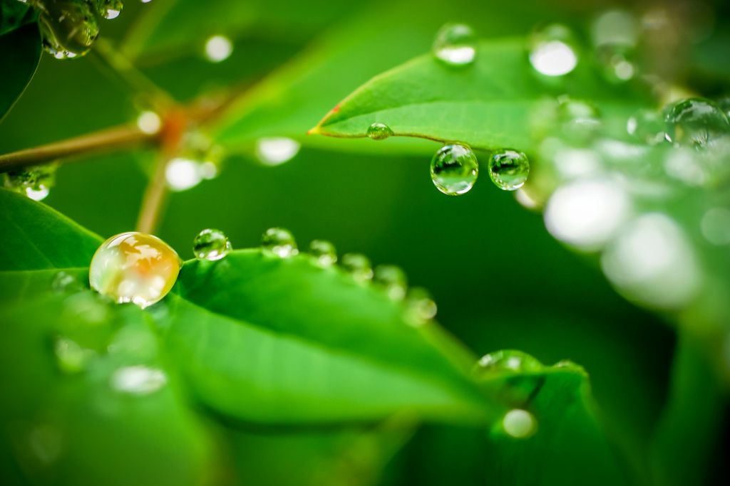 雨上がり