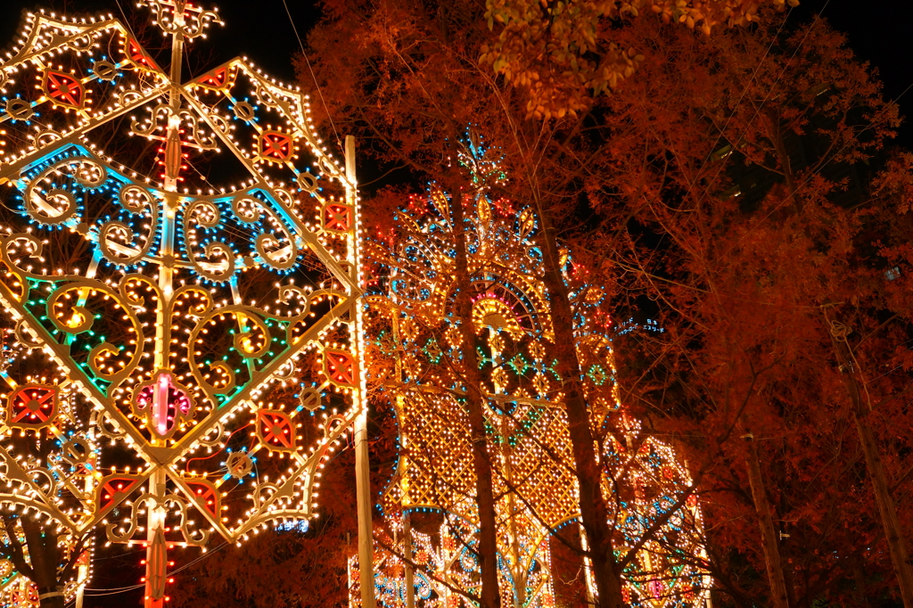 ルミナリエと紅葉