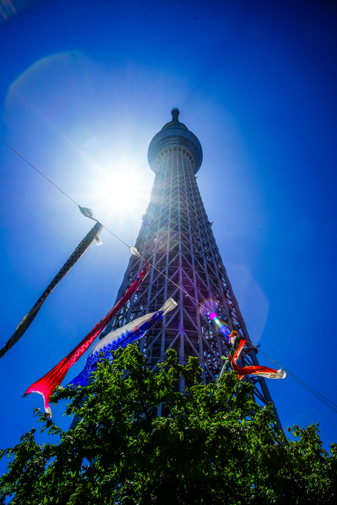 スカイツリー端午の節句