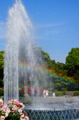 虹の架かるバラ園