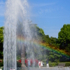 虹の架かるバラ園