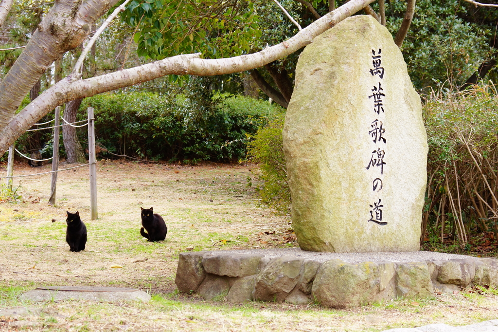 萬葉歌碑IN猫