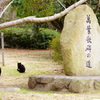 萬葉歌碑IN猫