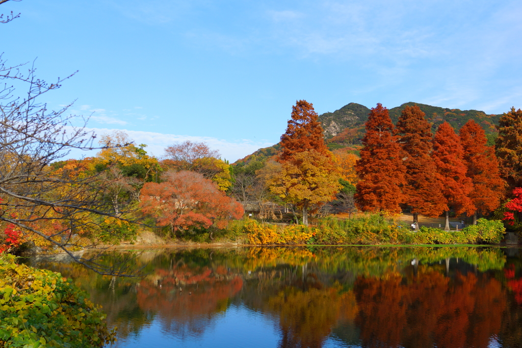 奥須磨公園の紅葉