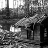 ハスの上に立つ小屋