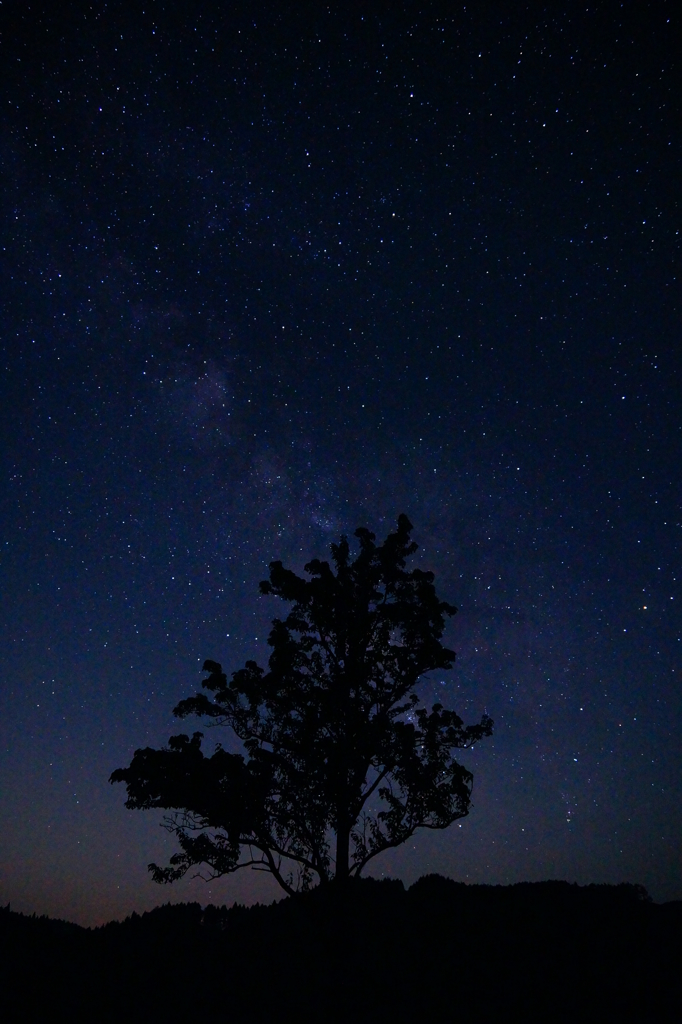 砥峰の星空