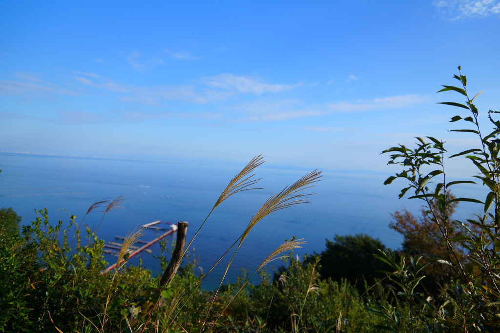 空と海とススキ