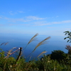 空と海とススキ