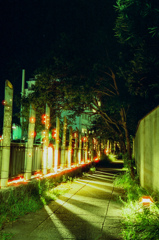 竹あかりの道②（フィルム）