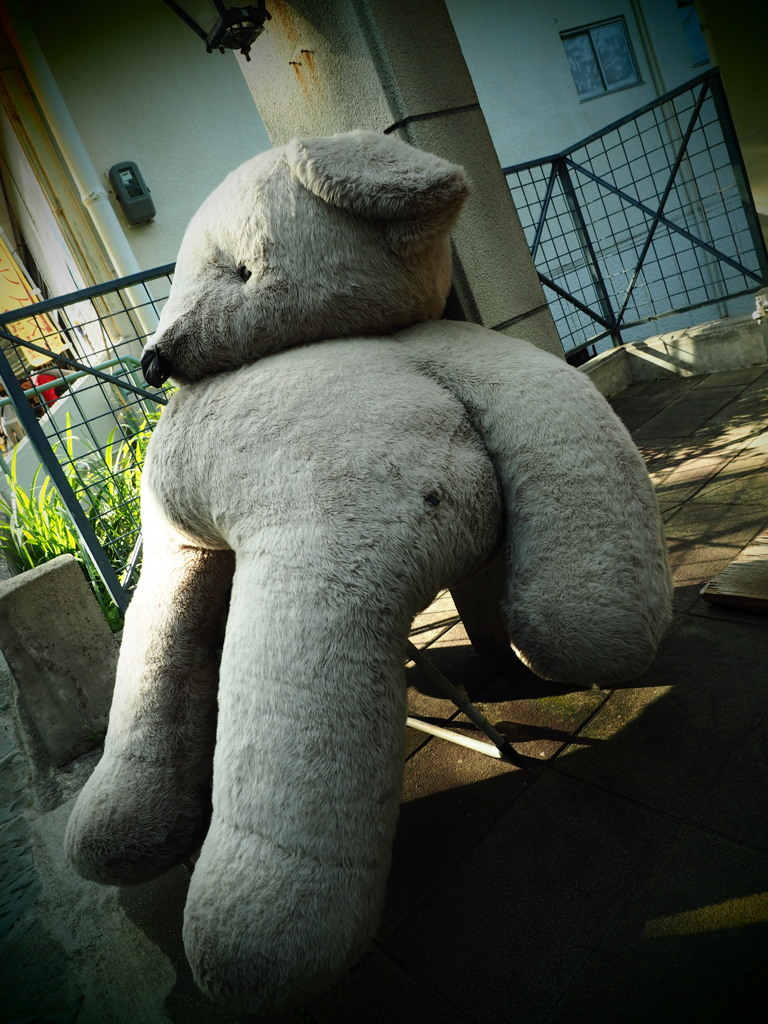 くまー