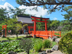 高山稲荷②