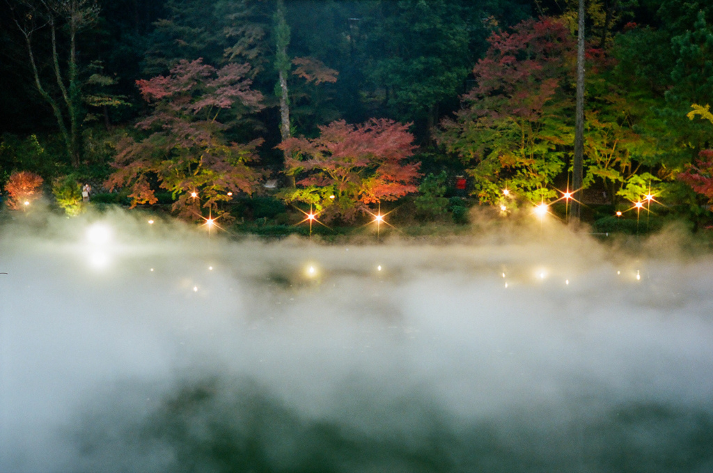 薬師池公園④（フィルム）