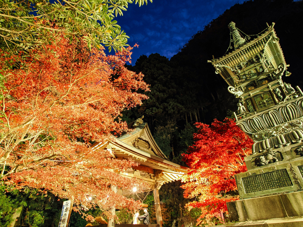 大山　紅葉ライトアップ②