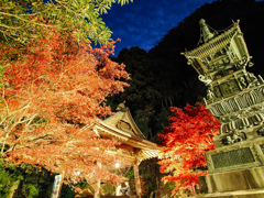 大山　紅葉ライトアップ②