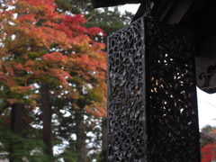 角館の紅葉④