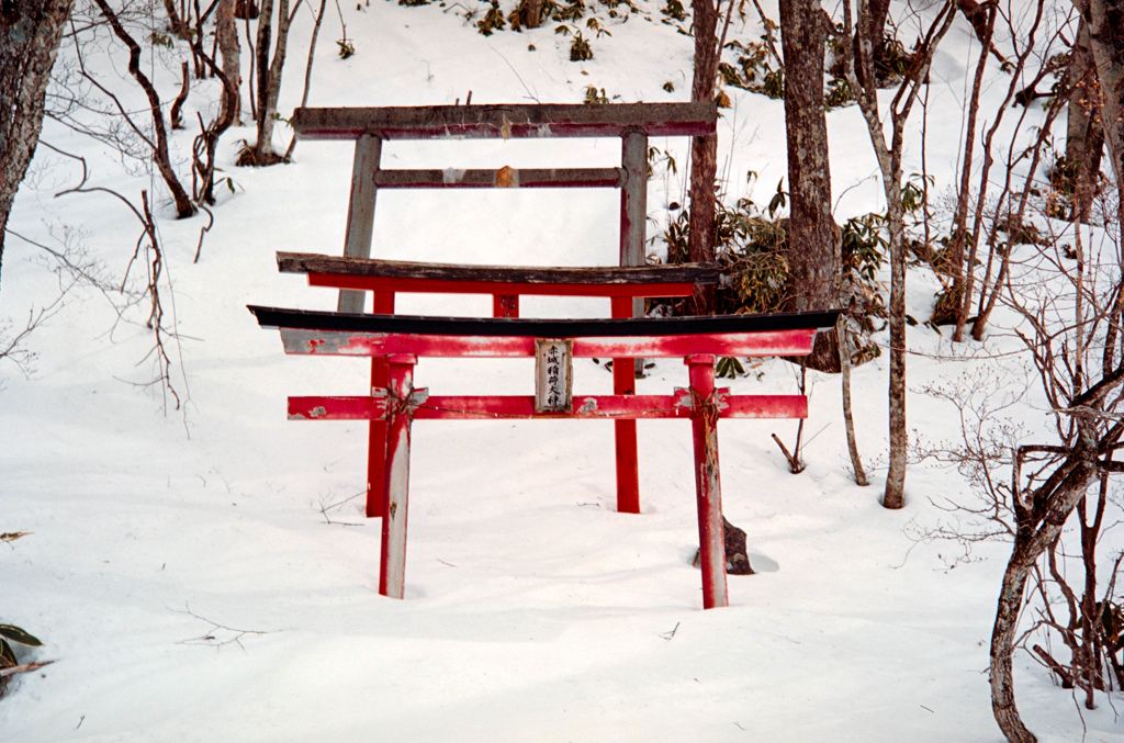 赤城山登山①(フィルム)