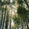 鎌倉散策②(フィルム)