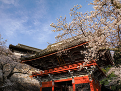 桜川市観光②
