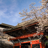 桜川市観光②