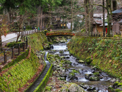 苔川