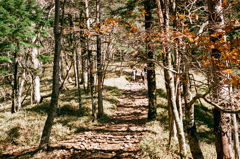 大菩薩嶺　登山道②（フィルム）