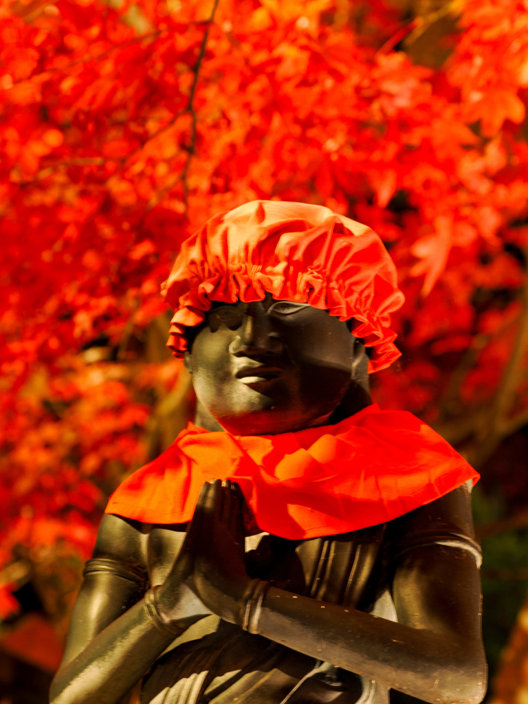 大山紅葉ライトアップ⑤