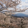 桜川市観光⑤