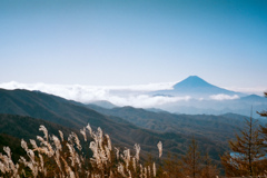 ススキと富士山（フィルム）