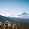 ススキと富士山（フィルム）